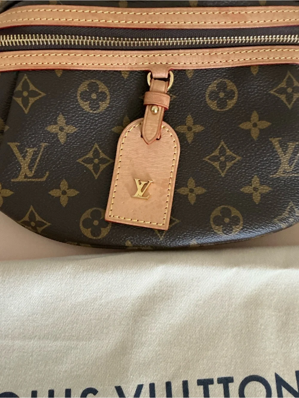 Louis Vuitton High Rise Bumbag - Picture 6 of 16